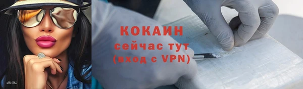 индика Заводоуковск