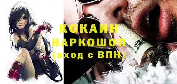 соль ск Коряжма