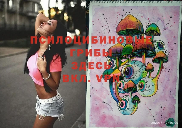 ГАЛЛЮЦИНОГЕННЫЕ ГРИБЫ Абдулино