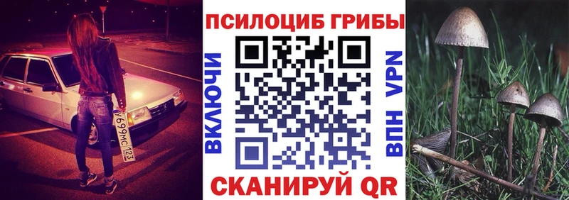 что такое наркотик  Нижняя Тура  Галлюциногенные грибы MAGIC MUSHROOMS 